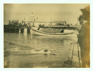 Horizontales Foto eines Schwimmers, der kurz davor ist, die Zielplattform zu erreichen